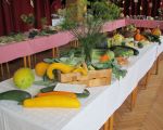 Výstava ovoce a zeleniny 2015